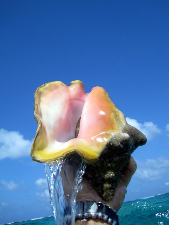 Caye Reef Condos Caye Caulker Bagian luar foto